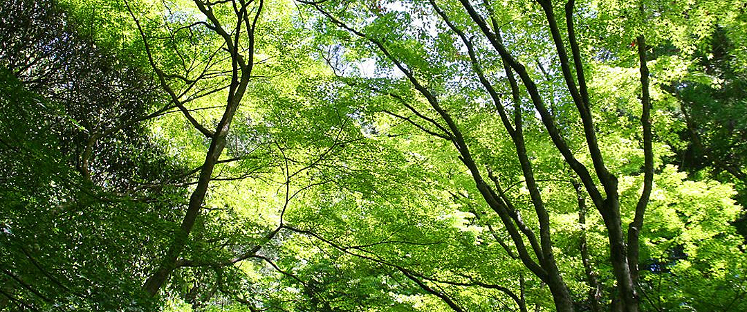 周辺の楽しみ！